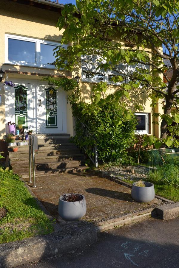 Cozy Apartment Dana Frickenhausen (Baden-Wurttemberg) Exterior photo