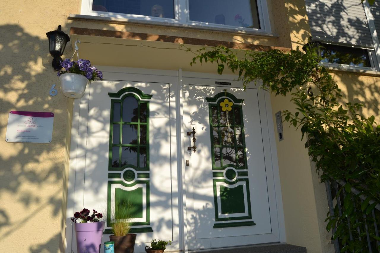 Cozy Apartment Dana Frickenhausen (Baden-Wurttemberg) Exterior photo