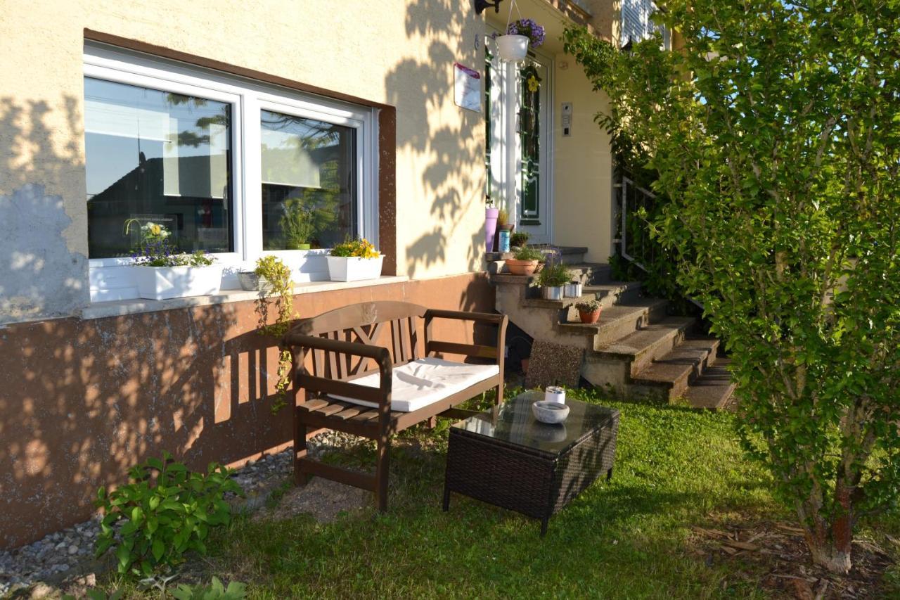 Cozy Apartment Dana Frickenhausen (Baden-Wurttemberg) Exterior photo